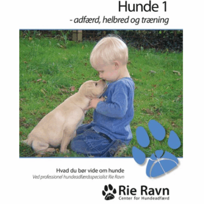 Hunde 1